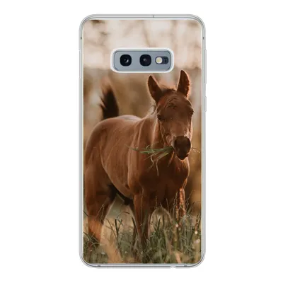 Produktbild von MuchoWow® Handyhülle Schutzhülle Hülle für Samsung Galaxy S10e Pferd - Sonne - Gras Silikon Softcase Handy Hülle - Handy