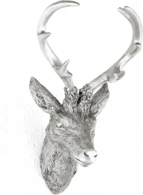 Produktbild von Hirschgeweih 10 Ender in Silber Hirschkopf Wand Deko Jagd Geweih 20 x 30cm