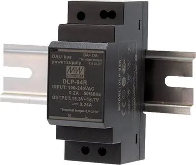 Image de MEAN WELL DLP-04R Alimentation & convertisseur de tension 4 W (DLP-04R)