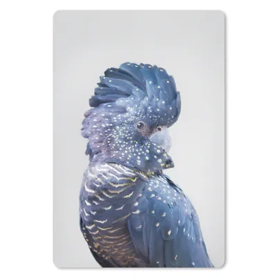 Produktbild von MuchoWow® Mauspad Mousepad Kakadu - Blau - Tiere - Natur 18x27 cm - Mousepads - Maus Mat - Pad - Mausunterlage