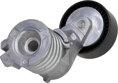 Zdjęcie produktu dla Napinacz Paska Wielorowkowy Vw1,2
