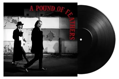 Immagine prodotto di The Black Crowes - A Pound of Feathers (180 g) (LP)