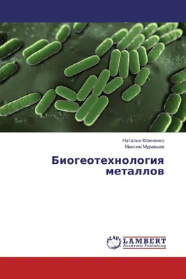 Produktbild von Biogeotechnologie der Metalle