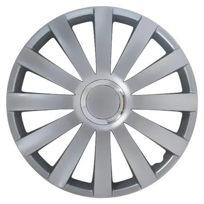 Produktbild von Gorecki Raddip Satz Spyder Pro 17"
