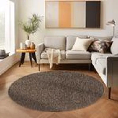 A living room scene with a sofa, coffee table, and a round rug.