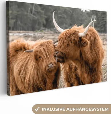 Produktbild von OneMillionCanvasses® - Leinwandbilder - 140x90 cm, Schottisches Hochlandrind - Tiere - Wald, Wandbilder Kunstdruck Wanddekoration