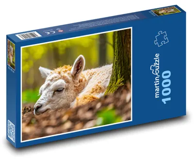 Zdjęcie produktu dla Puzzle 1000 Alpaka w wiosennym lesie - martinpuzzle