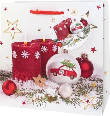 Produktbild von CACTUS Weihnachts-Geschenktüte "Kleines Auto" klein