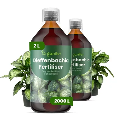 Produktbild von Dieffenbachia Flüssigdünger 2x1L – 3-4-3 NPK – Flüssigdünger Zimmerpflanzen – Für Blätter & Üppige Blattfärbung – Organifer