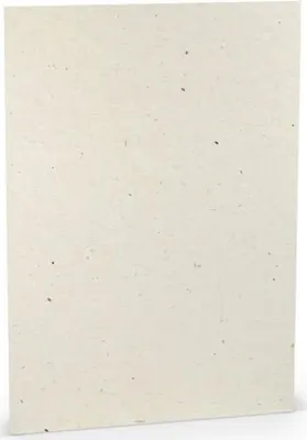 Produktbild von RÖSSLER 164001623 Briefbogen Paperado - A4, 100 g/qm, terra vanilla