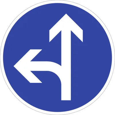 Produktbild von Verkehrsschild VZ214-10, Vorgeschriebene Fahrtrichtung geradeaus oder links, ...