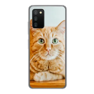 Produktbild von MuchoWow® Handyhülle Schutzhülle Hülle für Samsung Galaxy A03s Katze - Holz - Schrank Silikon Softcase Handy Hülle - Schutz