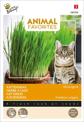 Produktbild von Katzengras | Kleintiersaaten von Buzzy Seeds
