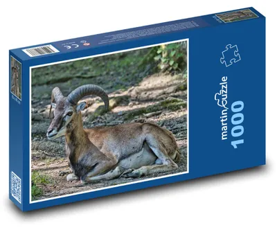 Obrázek produktu pro martinpuzzle - Puzzle 1000 - Muflon