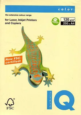 Produktbild von Kopierpapier Vanille A4 120G 250Bl pastell