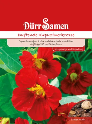 Produktbild von Dürr-Samen - Kapuzinerkresse rot rankend einjährig 200 cm - Saatgut - 0978