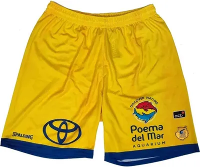 Image de Short Spalding SPALASMUGRCA02ARENA pour Uni
