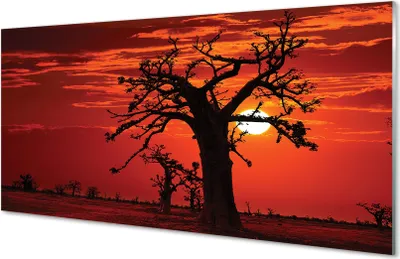 Produktbild von Glasbilder 140x70 Wandkunst Bäume Himmel Wolken