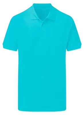 Produktbild von SG Originals - Poloshirt für Herren FK2300 (XL) (Türkis)