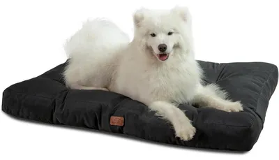 Produktbild von Hundekissen XXL 111x89cm tiefschwarz 10cm Höhe waschbar gepolstert Outdoor