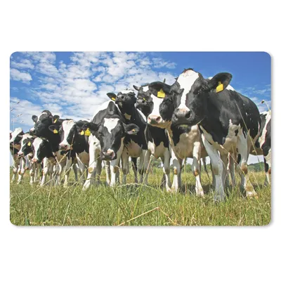 Produktbild von MuchoWow® Schreibtischunterlage Kühe - Gras - Wiese - Tiere 60x40 cm - XXL Mauspad - Großes Mauspad