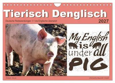 Produktbild von Tierisch Denglisch (Wandkalender 2027 DIN A4 quer), CALVENDO Monatskalender