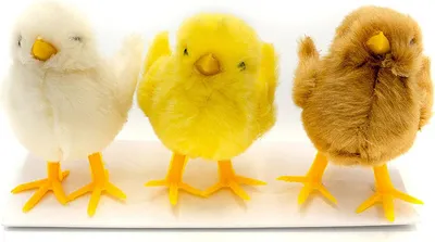 Produktbild von Deko Hühner, Ostern 6 cm - 3 Stück
