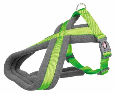 Produktbild von Premium Touren Geschirr gepolstert M-L: 50-80 cm/25 mm apfel