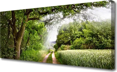 Produktbild von Tulup Leinwand-Bilder 125x50 Wandbild Canvas Kunstdruck Bäume Fußpfad Natur