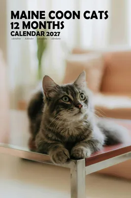 Zdjęcie produktu dla Kalendarz ścienny A3 na rok 2027 - koty Maine Coon