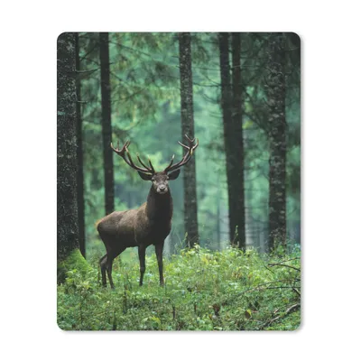 Produktbild von MuchoWow® Mauspad Mousepad Hirsche - Wald - Bäume - Tiere - Natur 30x40 cm - Mousepads - Maus Mat - Pad - Mausunterlage - Mausmatten