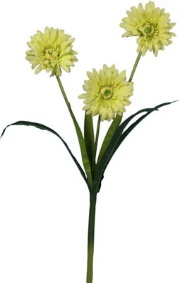 Image de Branche de Gerbera vert artificiel 55 cm de haut - Décoration d'intérieur