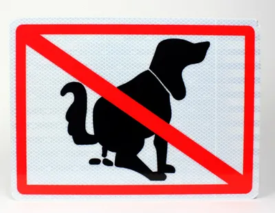 Produktbild von Aluminium Schild reflektierend Hier kein Hundeklo 33x24 cm Stärke 2mm