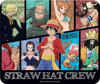 Produktbild von One Piece - Flexibles Mauspad - New World