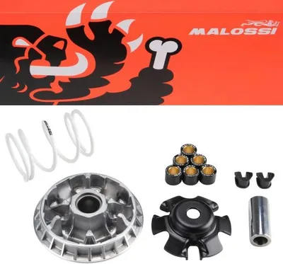Obrázok produktu pre Variátor MALOSSI Multivar pre Sym Citycom GTS Joymax 250 300
