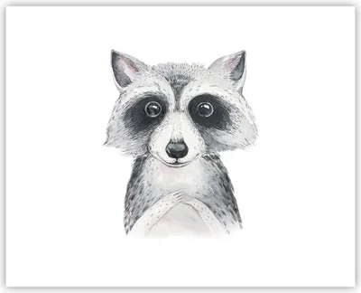 Produktbild von Poster - Poster ohne Rahmen - Waschbär Bild Kinder - 50x40 cm - Wand Bild - Wanddeko - Wandbilder - Kunstposter - Wandposter - Bilder - Kunstdruck - Wanddekoration - Wandbild - P2XAA50x40-4607