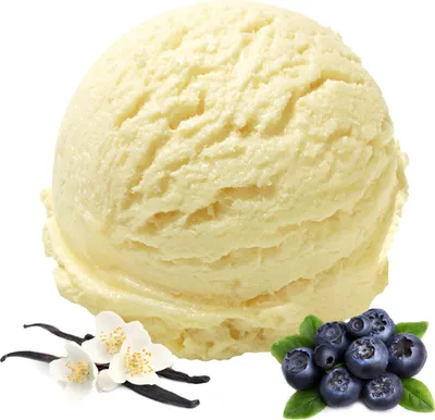 Image de Vanille Myrtille Glace végétalienne en poudre sans sucre, sans lactose 333 g