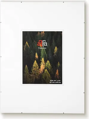 Produktbild von aFFa frames Rahmenloser Bilderhalter | Bilderrahmen | Acrylglas | mit Clips | für Fotos und Poster | Plakatrahmen | Cliprahmen | Posterrahmen | Plexiglas, HDF, 70x100 cm