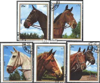 Produktbild von Briefmarken Sharjah 1972 Mi 1276-1281 (kompl.Ausg.) gestempelt Pferde