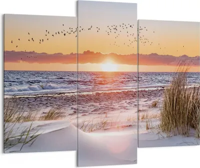 Produktbild von Bild auf Leinwand - Leinwandbild - 3 Teile - Sonne Strand Vögel - 130x100cm - Wand Bild - Wanddeko - Wandbilder - Leinwanddruck - Bilder - Wanddekoration - Leinwand bilder - Wandbild - CB130x100-4727