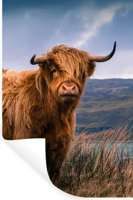 Produktbild von MuchoWow® Wandtattoo Wandsticker Wandaufkleber Schottischer Highlander - Berg - Wasser - Natur - Kuh 20x30 cm Selbstklebend und Repositionierbar - Sticker - Dekorfolie