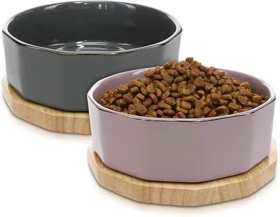 Image de Gamelle pour animaux Fressnapf en céramique avec tapis antidérapant - Gris et violet