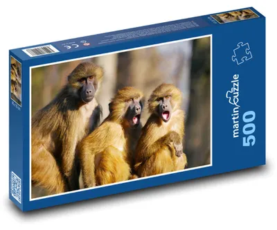 Zdjęcie produktu dla Puzzle 500 Rodzina pawianów w naturze - martinpuzzle
