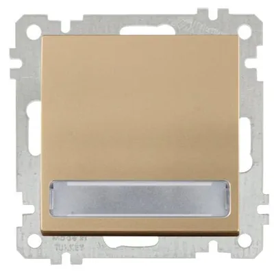 Produktbild von Schalter mit beleuchtetem Schild Gold Optik – Unterputz IP20 – CANDELA