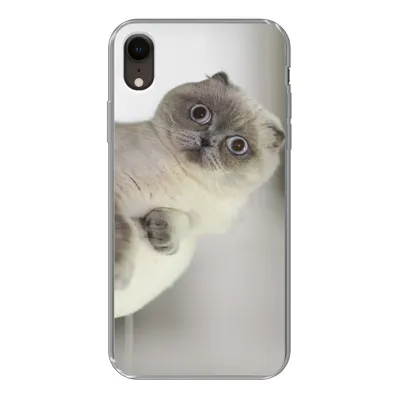 Produktbild von MuchoWow® Handyhülle Schutzhülle Hülle für iPhone XR Katze - Tier - Wohnzimmer Silikon Softcase Handy Hülle - Schutzdeckel