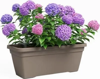 Image de Jardinière ARTEVASI VENEZIA L SWS, 60 cm, Taupe, 57,5 x 24,5 x 22,5 cm, 18 litres