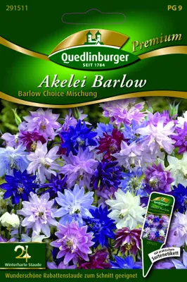 Produktbild von Akelei, Barlow Choice Mischung