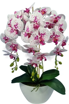 Produktbild von Kunstpflanze Damich künstliche Orchidee im Blumentopf Pflanze Blume Kunstorchidee 3-Blütenzweige Höhe ca. 60cm Weiß-Rot