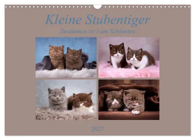 Produktbild von Kleine Stubenstiger (Wandkalender 2027 DIN A3 quer), CALVENDO Monatskalender