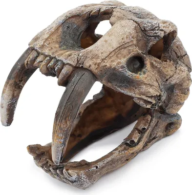 Produktbild von Happet Aquarium Ornament U777 Schädel 9,5 cm